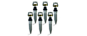 mini dental implant dentures in mexico